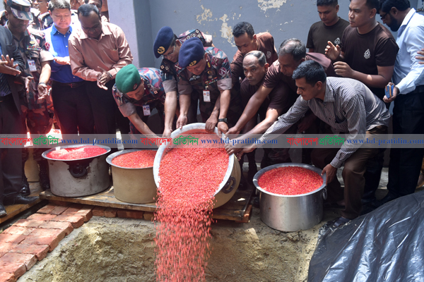 টেকনাফে বিজিবি ও পুলিশের ২৮৬ কোটি টাকার মাদকদ্রব্য ধ্বংস