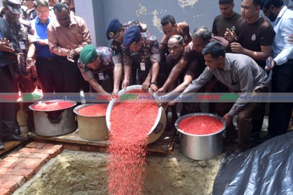 টেকনাফে বিজিবি ও পুলিশের ২৮৬ কোটি টাকার মাদকদ্রব্য ধ্বংস