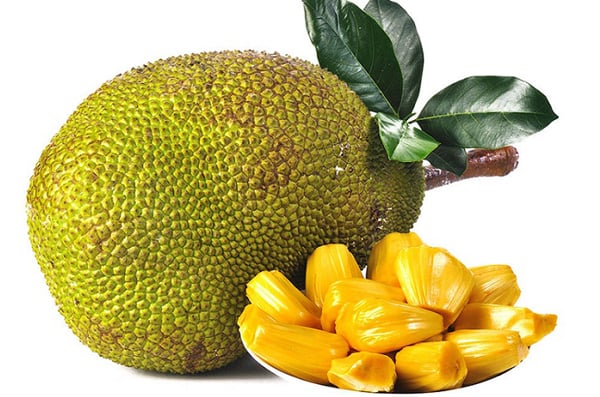 কাঁঠাল রোগ প্রতিরোধ ক্ষমতা বাড়ায়