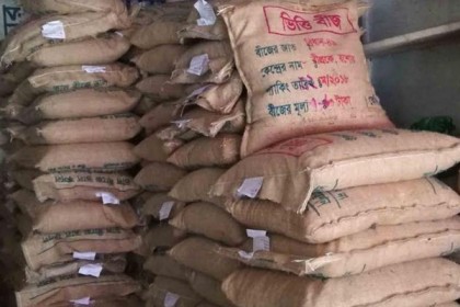 বাগেরহাটে উফশী বীজ নিয়ে ডিলাররা বিপাকে 

