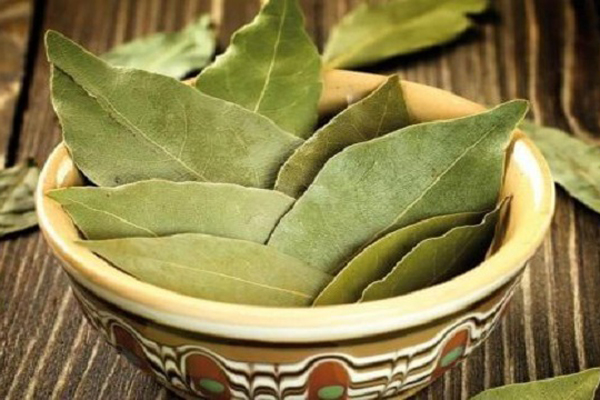 সুস্থ থাকতে চাইলে তেজপাতাকে অবহেলা নয়