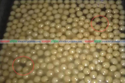 দোকানের মিষ্টিতে তেলাপোকা!
