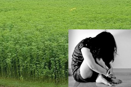 খেজুরের লোভ দেখিয়ে পাট ক্ষেতে শিশুকে ধর্ষণ