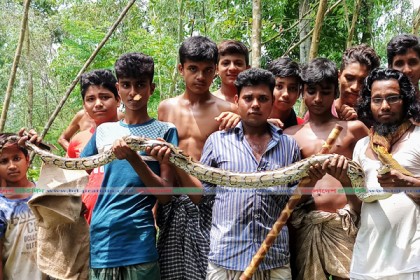৭ ফুট দীর্ঘ অজগর উদ্ধার, উৎসুক জনতার ভিড়