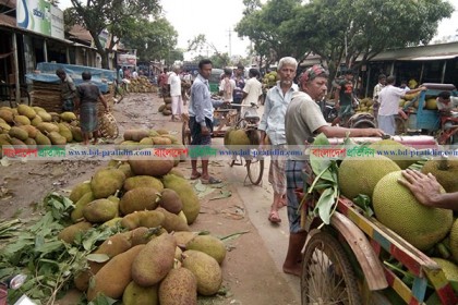 সখীপুরে সড়কের পাশে হাট-বাজারে ভোগান্তি