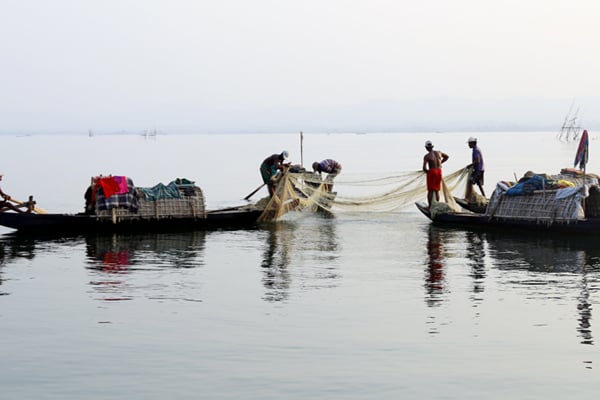 কাপ্তাই হ্রদের মৎস্য সম্পদ হুমকির মুখে 