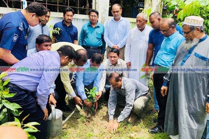 মুক্তিযুদ্ধে শহীদদের স্মরণে লক্ষ্মীপুরে ৩০ হাজার বৃক্ষ রোপণ
