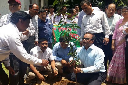ঠাকুরগাঁওয়ে বৃক্ষরোপণ অভিযান শুরু