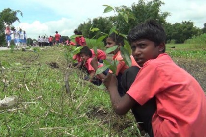 তেতুলিয়ায় ৬ কিলোমিটার জুড়ে গাছ লাগালো শিক্ষার্থীরা