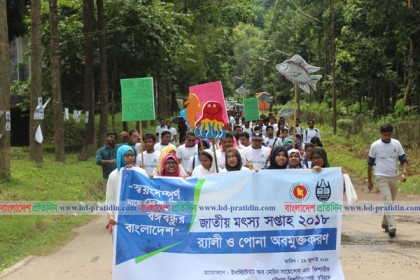 চবিতে জাতীয় মৎস্য সপ্তাহ উদযাপন