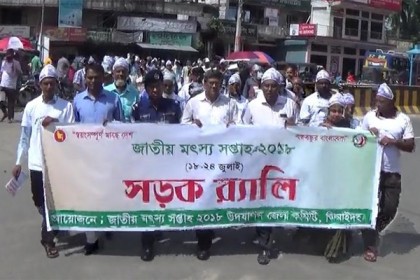 জাতীয় মৎস্য সপ্তাহ উপলক্ষ্যে ঝিনাইদহে শোভাযাত্রা