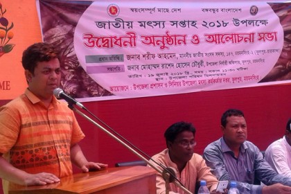 ফুলপুরে জাতীয় মৎস্য সপ্তাহ উপলক্ষে শোভাযাত্রা ও আলোচনা সভা 