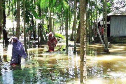 শরণখোলায় মাস ধরে পানিবন্দি শতাধিক পরিবার 