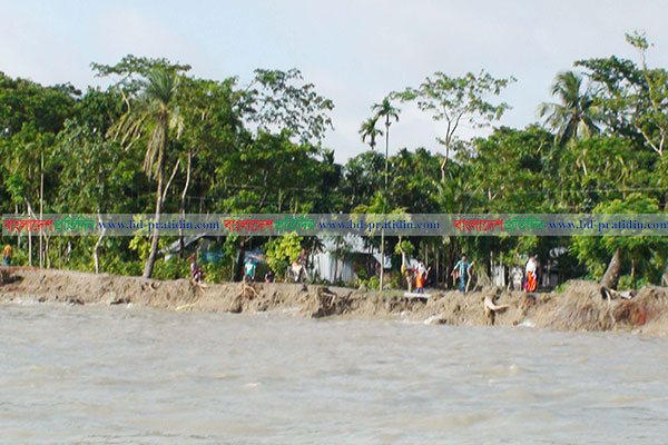 লক্ষ্মীপুরে ভয়াবহ ভাঙনে হুমকির মুখে মেঘনা পাড়ের মানুষ