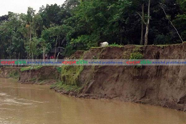 'রাইত অইলে হডাৎ কইলজার মধ্যে চেৎ কইরা উডে'