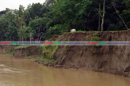 'রাইত অইলে হডাৎ কইলজার মধ্যে চেৎ কইরা উডে'