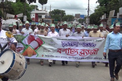 পঞ্চগড়ে বৃক্ষমেলা শুরু