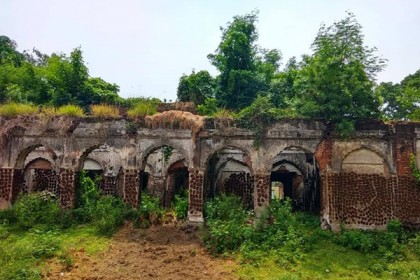 নাটোরে চৌগ্রাম জমিদার বাড়ির শতবর্ষী গাছ কর্তন, এলাকায় তোলপাড়
