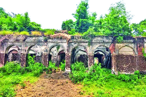 নাটোরে জমিদার বাড়ির গাছ কাটা নিয়ে কী হচ্ছে