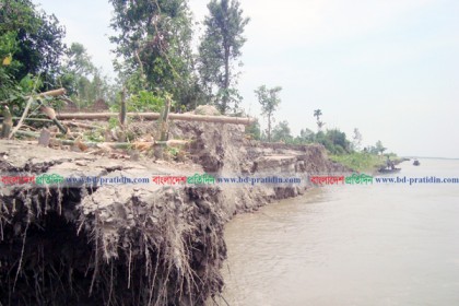 টাঙ্গাইলে যমুনার ভাঙনে দেড় শতাধিক ঘরবাড়ি বিলীন

