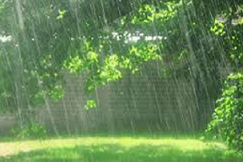 বৃষ্টির ঘ্রাণ যে কারণে ভালো লাগে