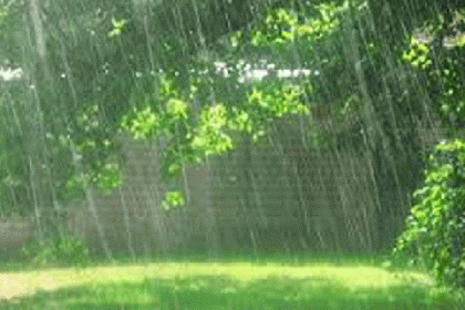 বৃষ্টির ঘ্রাণ যে কারণে ভালো লাগে