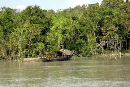সুন্দরবনে ট্রলারে গণডাকাতি, ২০ জেলে অপহরণ 