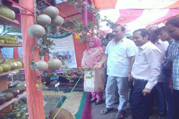 কলারোয়ায় তিন দিনব্যাপী বৃক্ষ মেলার উদ্বোধন