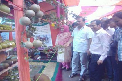 কলারোয়ায় তিন দিনব্যাপী বৃক্ষ মেলার উদ্বোধন