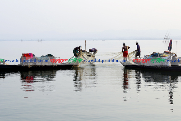 কাপ্তাই হ্রদে মাছ ধরার নিষেধাজ্ঞা প্রত্যাহার

