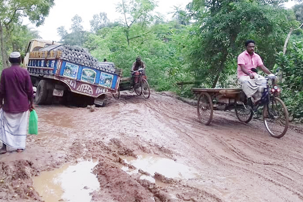 নাটোর-বগুড়া মহাসড়কের বেহাল দশা

