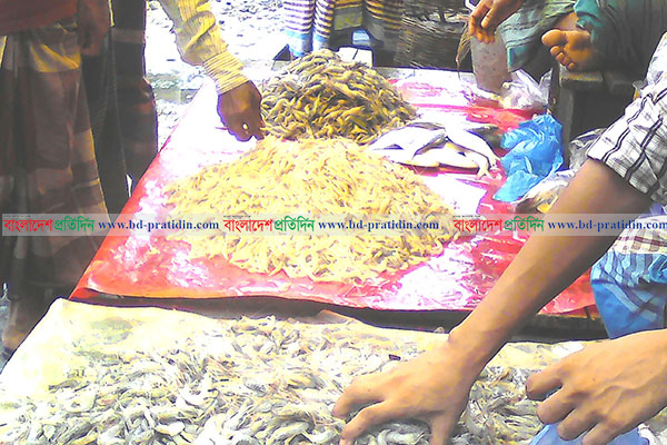 ঝালকাঠিতে নদীতে বিষ প্রয়োগে ডিমওয়ালা মাছ নিধন