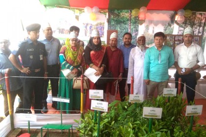লামায় তিনদিন ব্যাপী ফলদ বৃক্ষমেলার উদ্বোধন