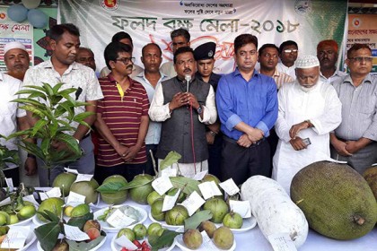 ফুলপুরে ফলদ বৃক্ষ মেলার উদ্বোধন