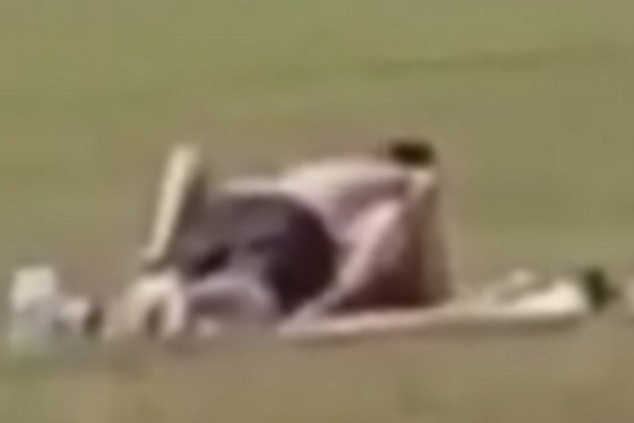 প্রকাশ্যে প্রেমিকার সঙ্গে..., মা করলেন ভিডিও