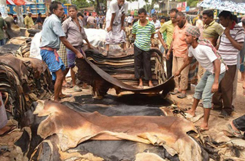 ঈদুল আজহা উপলক্ষে চামড়ার দাম নির্ধারণ 