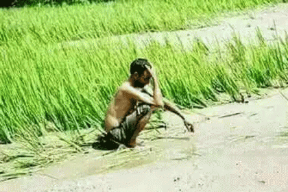 পূর্বাভাসে ভুল, আবহাওয়া অফিসের বিরুদ্ধে কৃষকের মামলা!