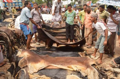 ঈদুল আজহা উপলক্ষে চামড়ার দাম নির্ধারণ 