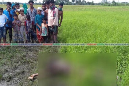 কুমিল্লায় বাড়ি থেকে ডেকে নিয়ে হকারকে হত্যা 
