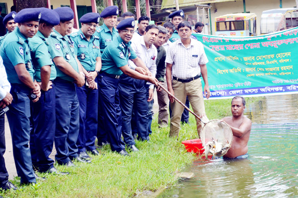 বরিশালে দু'টি পুকুরে মাছের পোনা অবমুক্ত