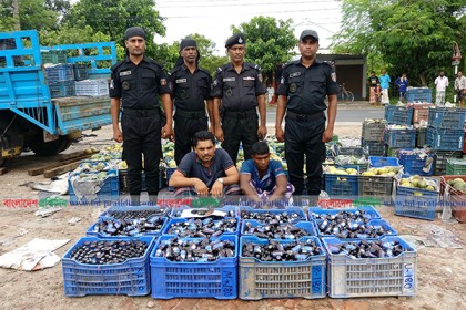 চাঁপাইনবাবগঞ্জে ২০৮৬ বোতল ফেন্সিডিলসহ ট্রাক জব্দ, আটক ২