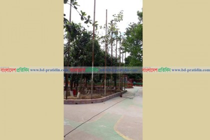 চট্টগ্রাম চিড়িয়াখানায় হচ্ছে ‘মিনি এভিয়ারি’