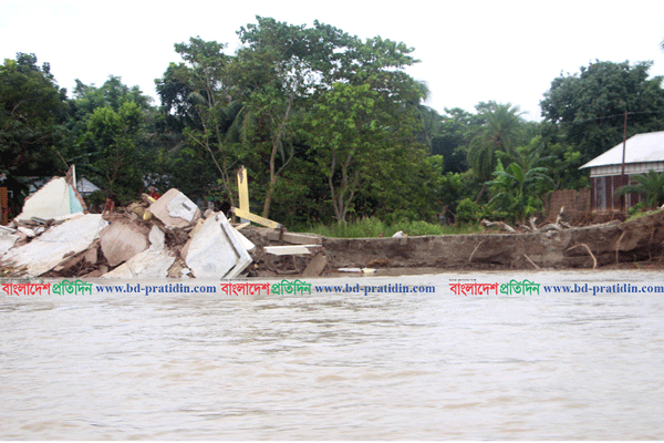 ফরিদপুরে পদ্মা নদীর ভাঙ্গনে অর্ধশতাধিক বাড়ি-ঘর বিলিন