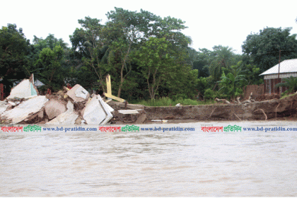 ফরিদপুরে পদ্মা নদীর ভাঙ্গনে অর্ধশতাধিক বাড়ি-ঘর বিলিন