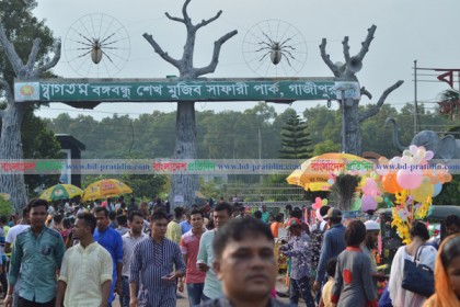 বঙ্গবন্ধু সাফারি পার্কে দর্শনার্থীর ঢল