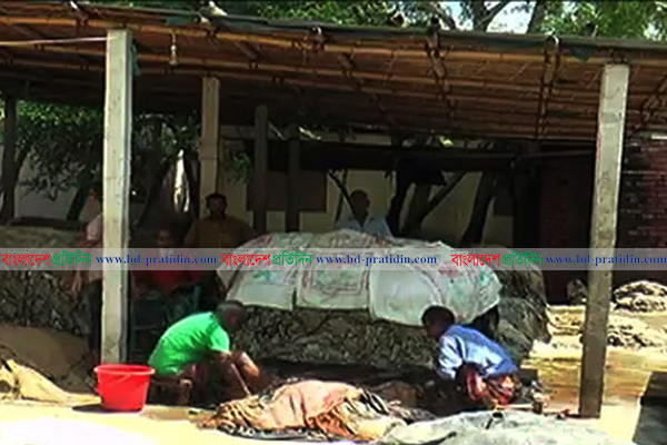 দিনাজপুরের চামড়া ব্যবসায়ীরা লোকসান আতঙ্কে 