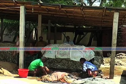 দিনাজপুরের চামড়া ব্যবসায়ীরা লোকসান আতঙ্কে 