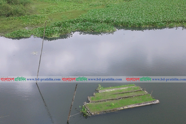 ফুলপুরে খরিয়া নদীতে প্রথম ভাসমান বীজতলা তৈরি