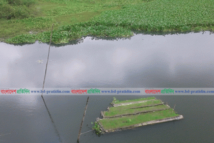 ফুলপুরে খরিয়া নদীতে প্রথম ভাসমান বীজতলা তৈরি