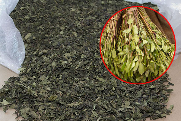 ইয়াবার চেয়েও ভয়ঙ্কর ড্রাগস কী এই ‘খাত’